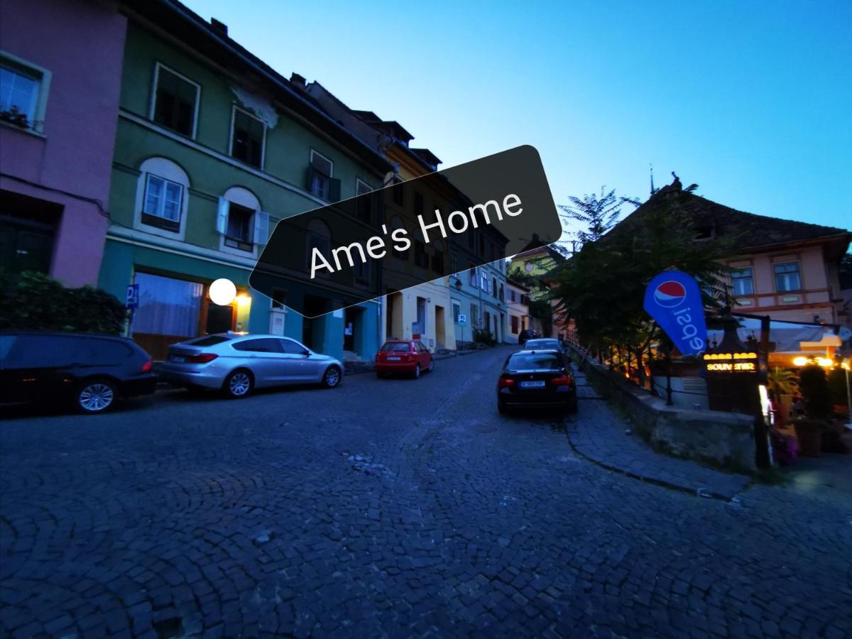 Ame'S Home 锡吉什瓦拉 外观 照片